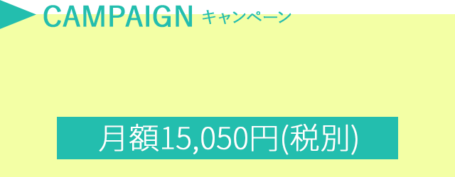 月額15,050円(税別)