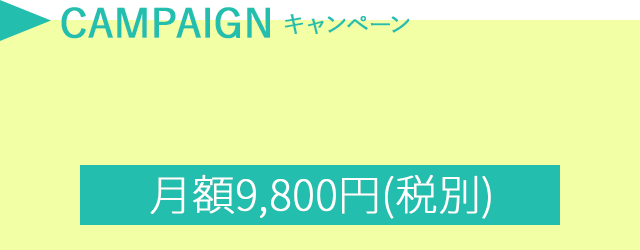 月額9,800円(税別)