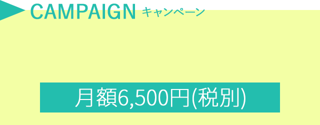 月額6,500円(税別)